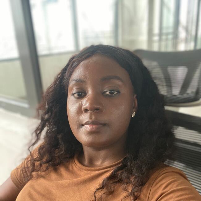 Babysitter in Amadora: Odunayo