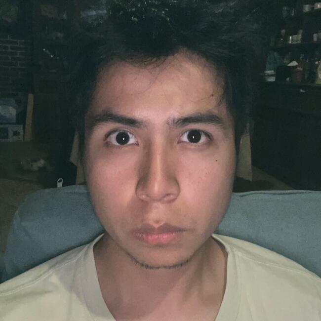 Trabajo para niñera en Chipilo de Francisco Javier Mina: David