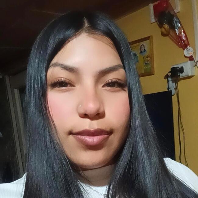 Babysitter in Port Montt: Krishna Soto