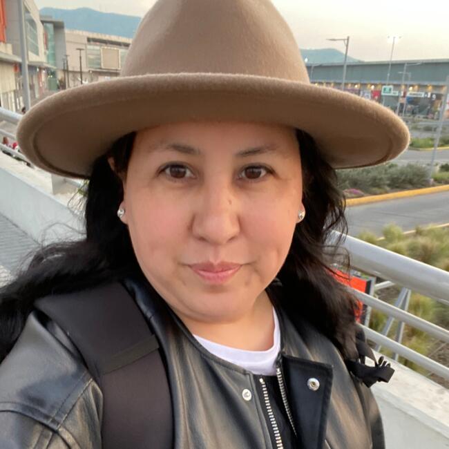 Babysitting job in Lo Prado: Ivette