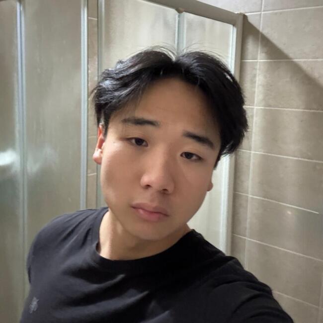 Babysitter in Rivoli: Han