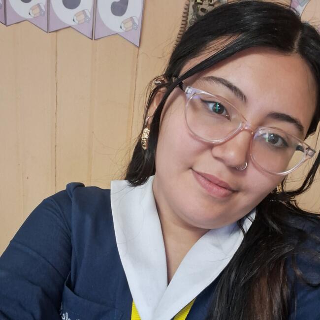 Niñera en Rancagua: Nicole