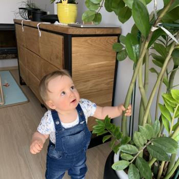 Praca opiekunka do dziecka Grudziądz: praca opiekunka do dziecka Patrycja