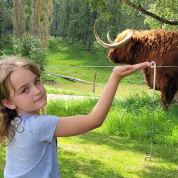 Babysitting job in Christchurch: babysitting job Victoria