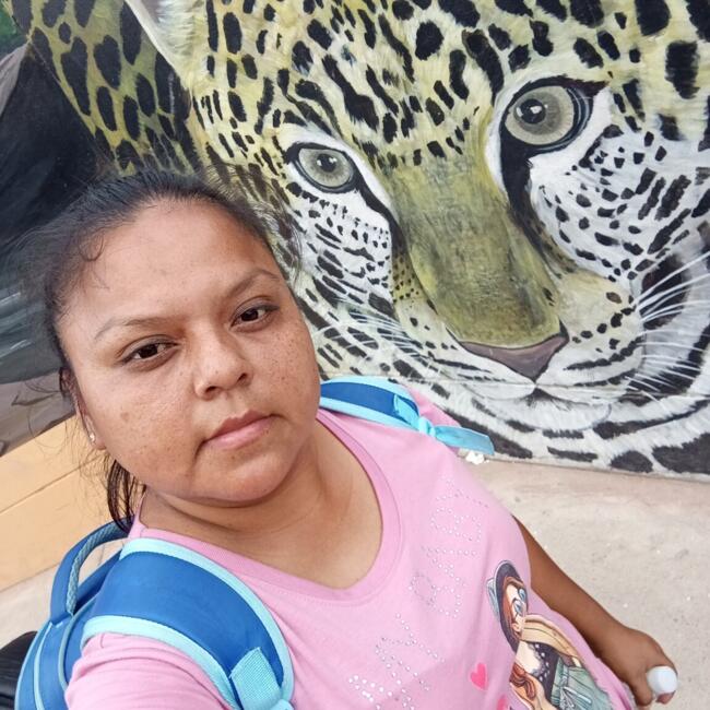 Niñera en San Juan de Lurigancho: Liliana