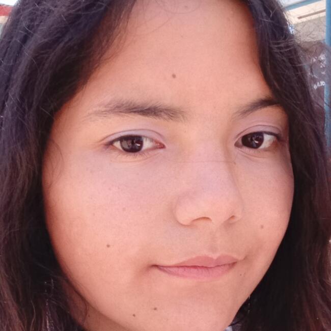 Niñera en Viña del Mar: Alexa