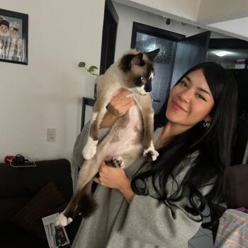 Babysitter Ecatepec: Ketzali