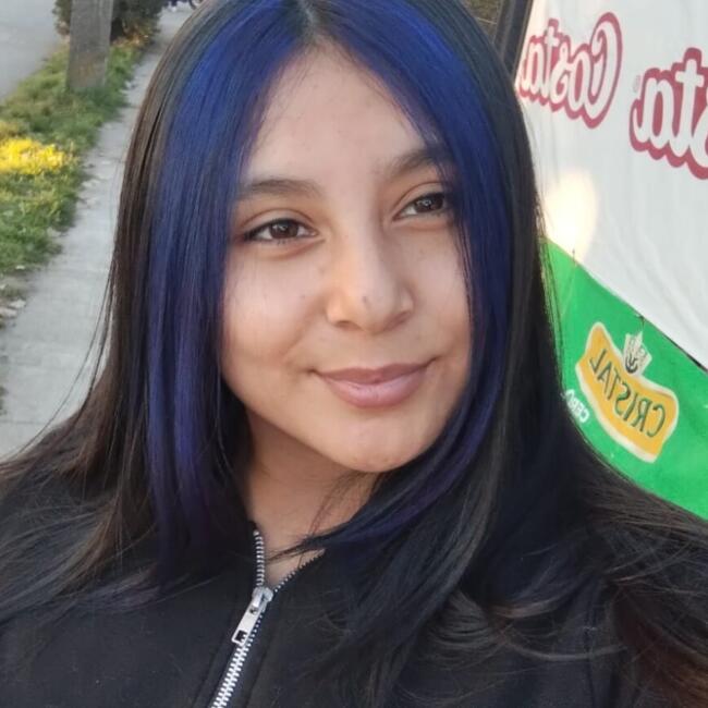 Babysitter in Osorno: Jullyana