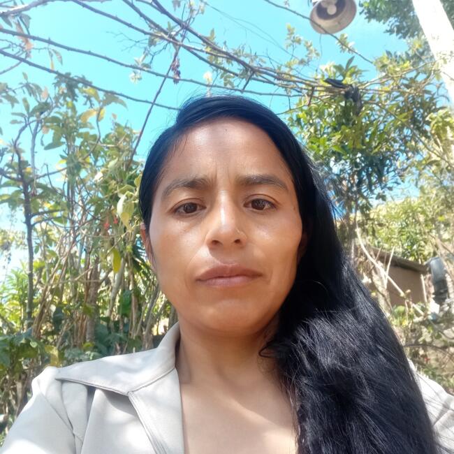 Babysitter in Amaguaña: Laura Mercedes Guallichico
