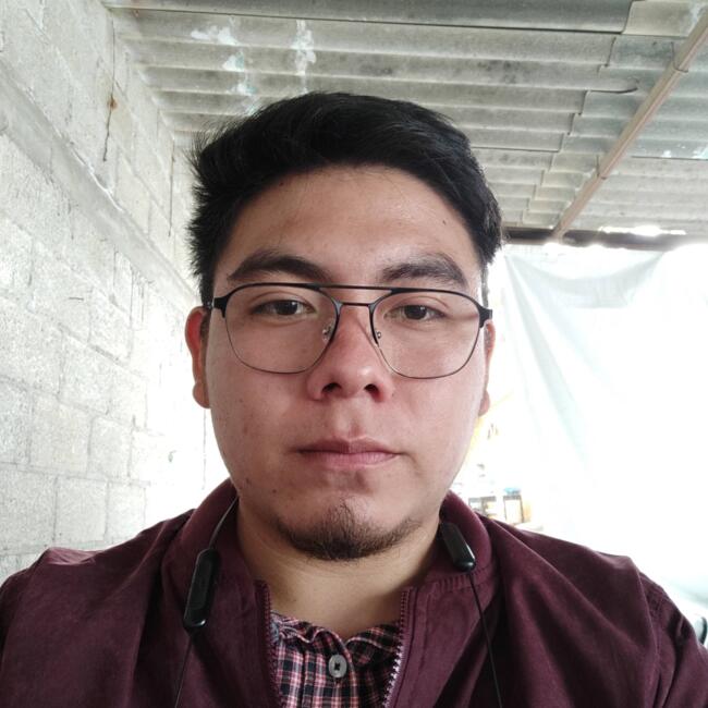 Trabajo para niñera en San Damián Texoloc: Luis angel