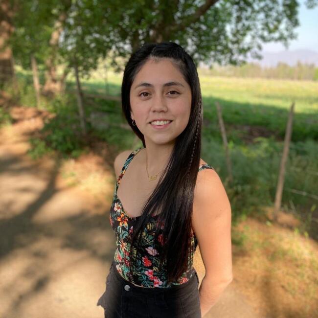 Babysitter in Quillota: Macarena