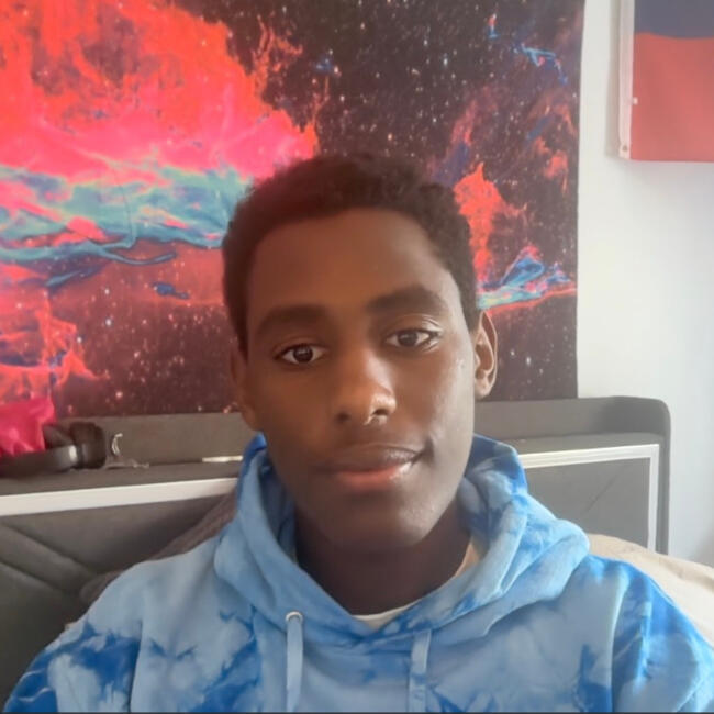 Babysitter in Hidden Hills: Everest