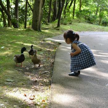 Babysitting job in Vila Nova de Gaia: babysitting job Tatiana