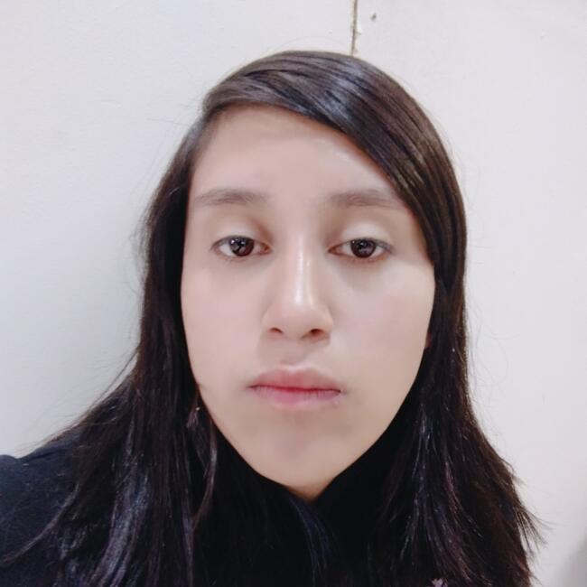 Babysitter in Castro: Daniela lisette Leiva Barria