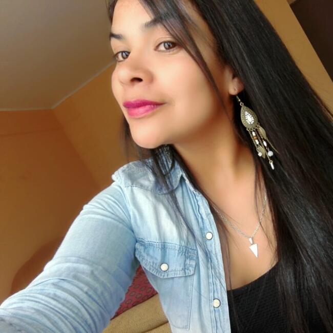 Babysitting job in La Serena: Yoselin