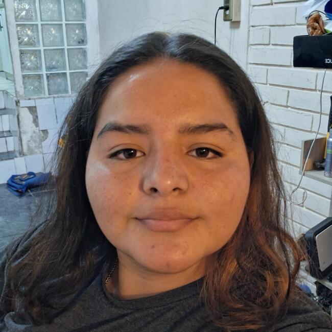 Babysitter in Iquique: Abril