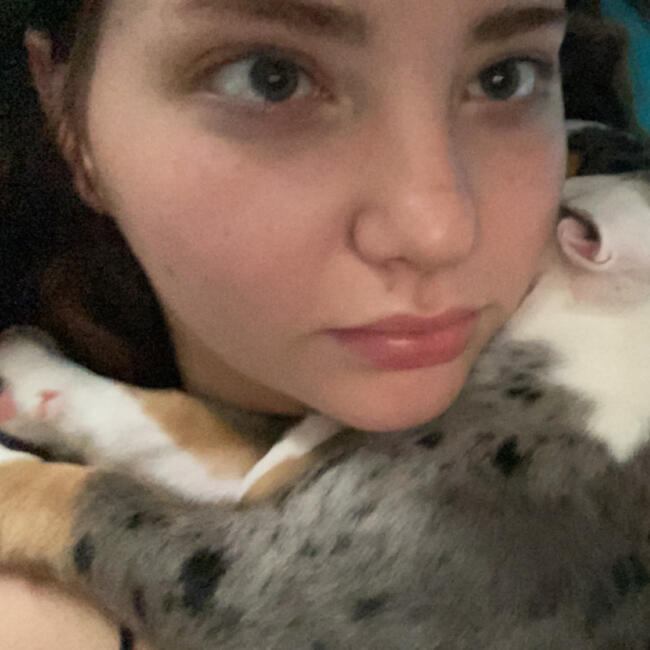 Babysitter in Hobart: Bronti