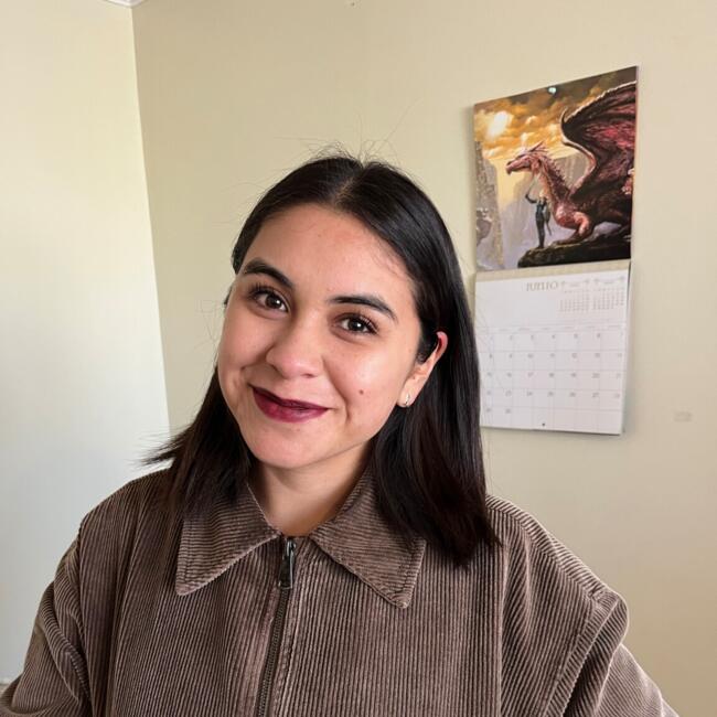Babysitter in Temuco: Ivonne