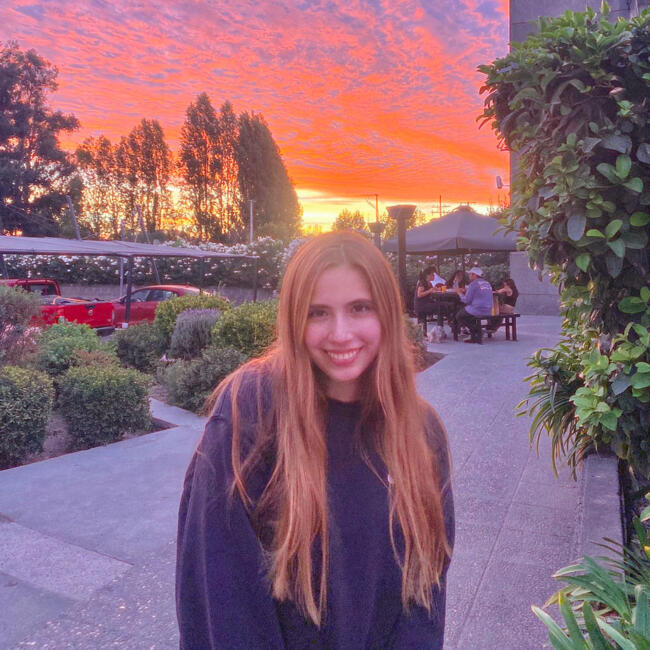 Niñera en Santiago de Chile: Nicole Rodríguez 