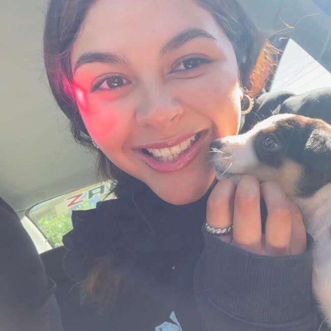 Niñera en Rancagua: Sofi