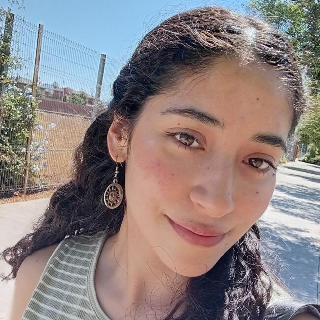 Babysitter in Buin: Allison Ayar