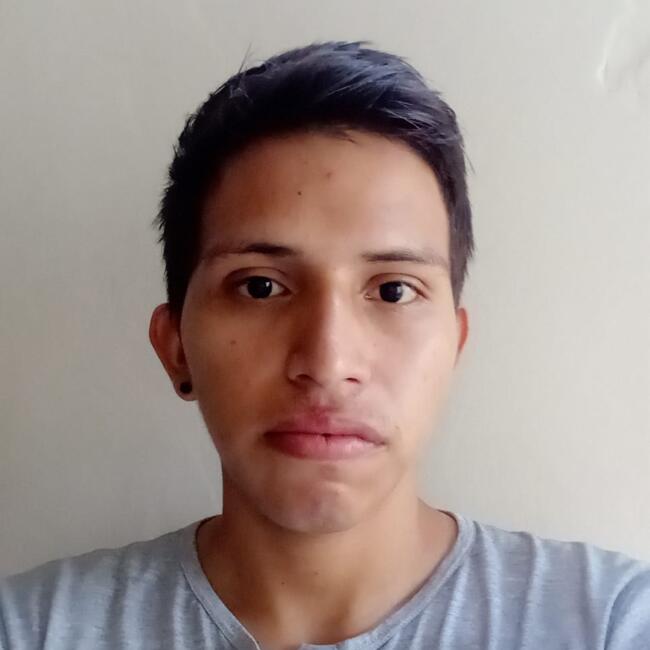 Baby-sitter in Portoviejo: Anthony