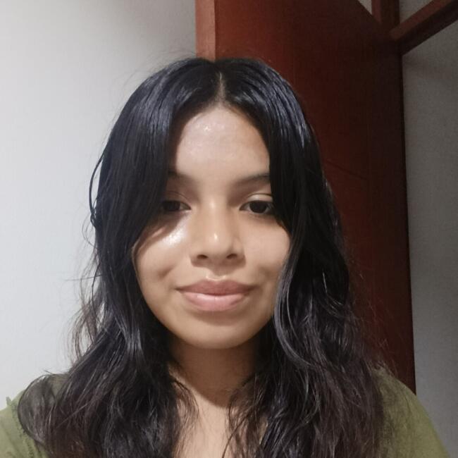 Niñera en San Juan de Lurigancho: Astrid
