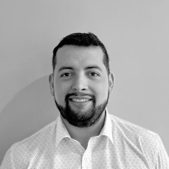 Babysitting job in Port Montt: Javier