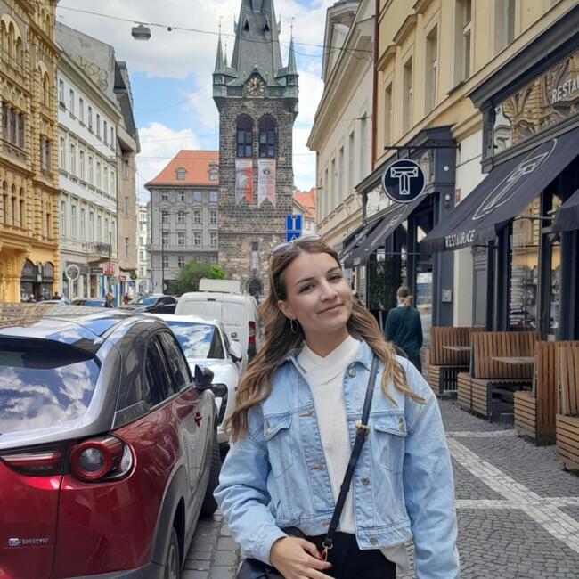 Bebisiterka u Novi Sad: Tamara