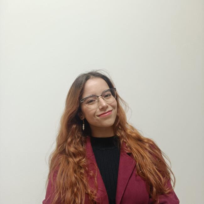 Babysitter em Covilhã: Beatriz