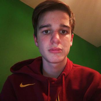 Babysitter in Antwerpen: Robbe