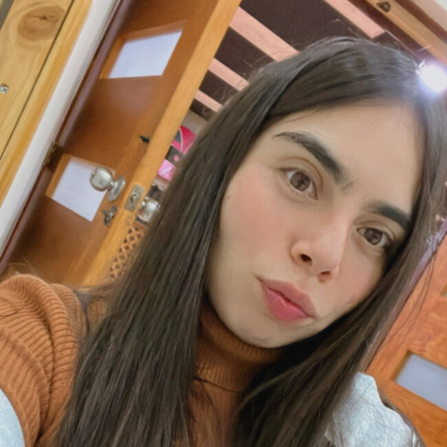 Babysitter in Santiago: Veronica