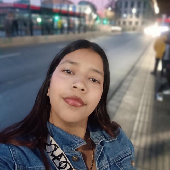 Babysitter in Santiago: Alizon