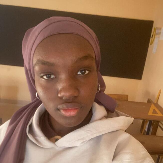 Babysitter in Mantes-la-Jolie: Fatoumata
