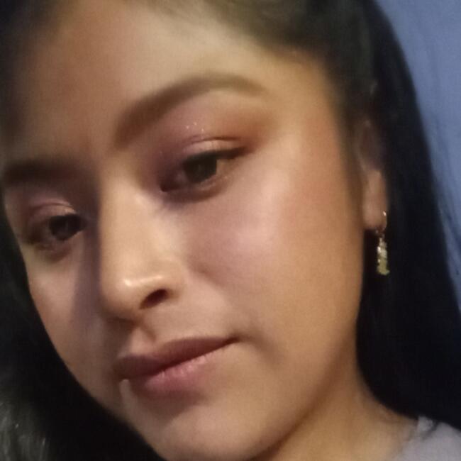 Babysitter in San Nicolás Tolentino: Maria Guadalupe González