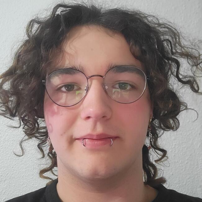 Babysitter in Aix-en-Provence: Louis