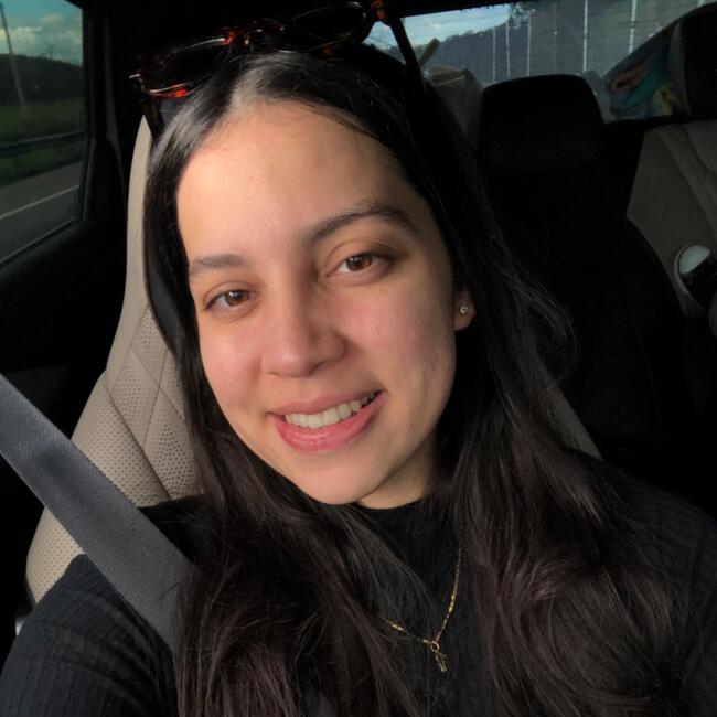 Babysitting job in Blumenau: Carina