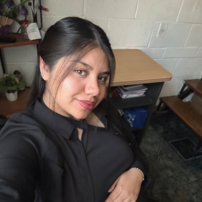 Babysitting job in Puente Alto: Javiera