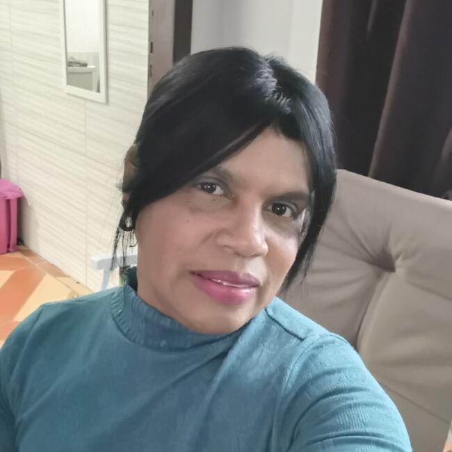 Babysitter in Criciúma: Maria Helena