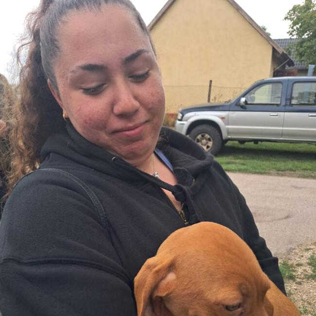 Babysitter a Lugo: Chiara