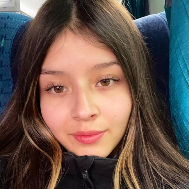 Babysitter in Temuco: Francisca Venegas