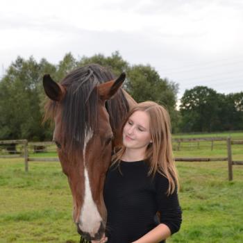 Babysitter Hanover: Sophia