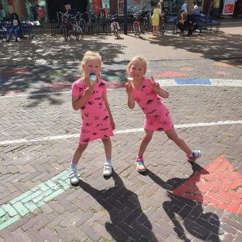 Oppaswerk Assen: oppasadres Roos