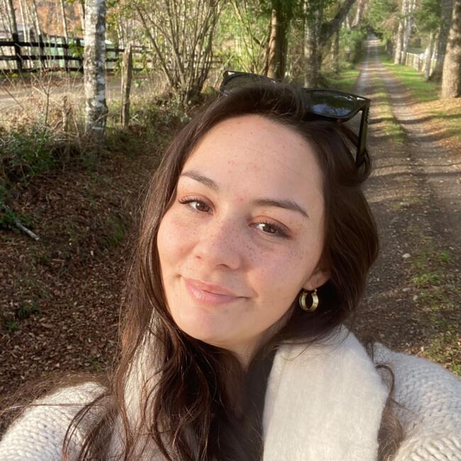 Babysitter in Villarrica: Antonia
