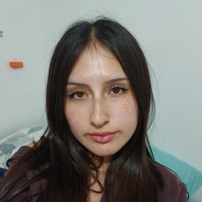 Babysitter in Coquimbo: Francisca