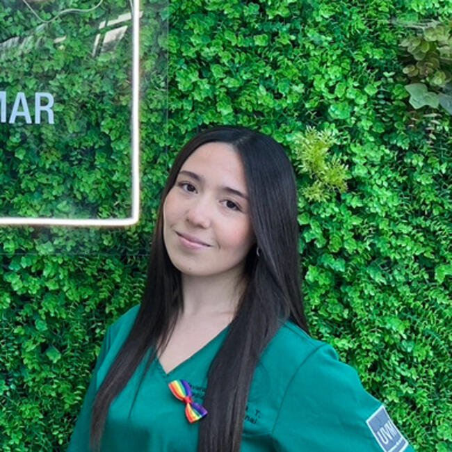 Babysitter in Viña del Mar: Yuyuniz Varas