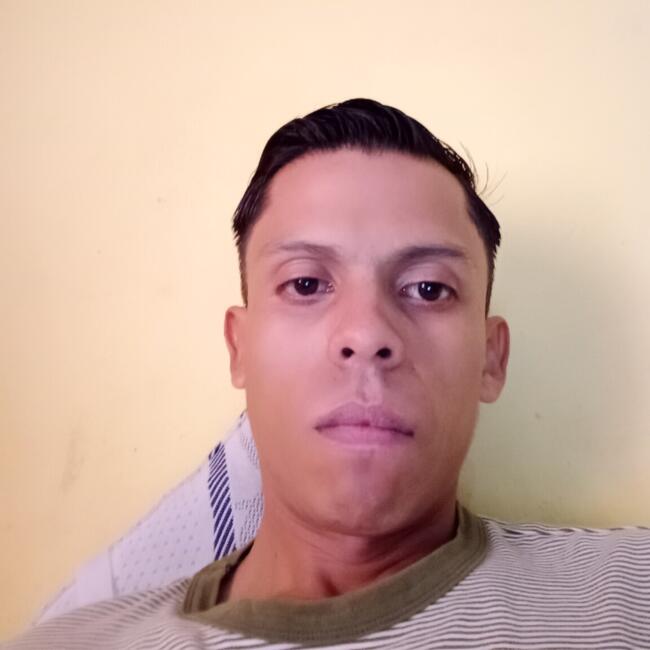 Trabajo para niñera en Xalapa: Gustavo