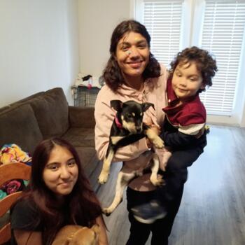 Babysitting job in San Marcos (Texas): babysitting job Estrella