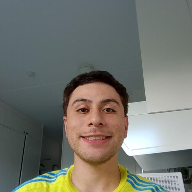 Babysitter in Stockholm: Diego Alejandro