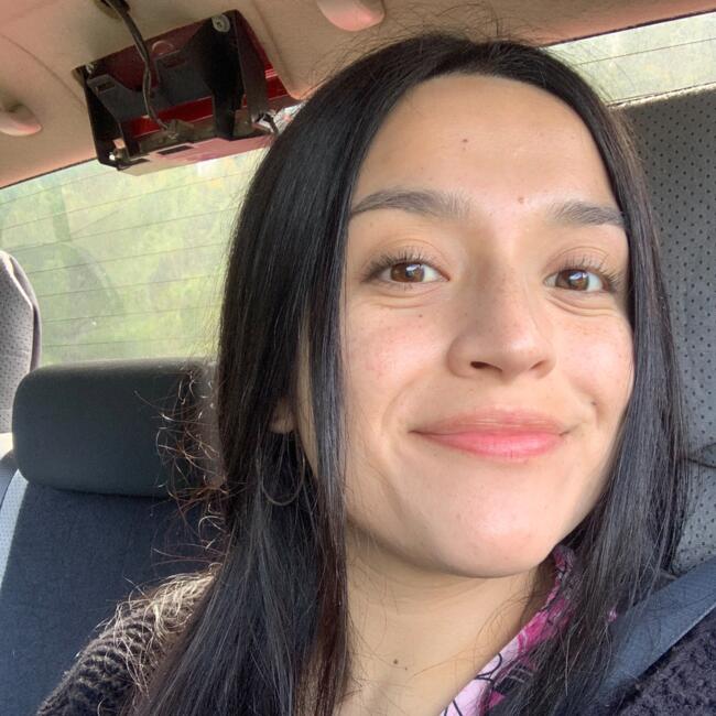 Babysitter in Temuco: Krishna